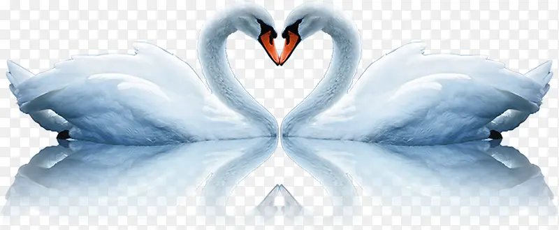 ��죬���˽ڣ�����-������