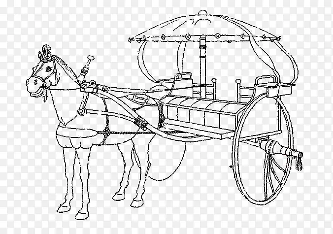 �Ŵ�����͸����-������