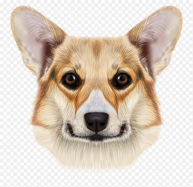 ��ͨ�ֻ���澫�¹�ͷ-������