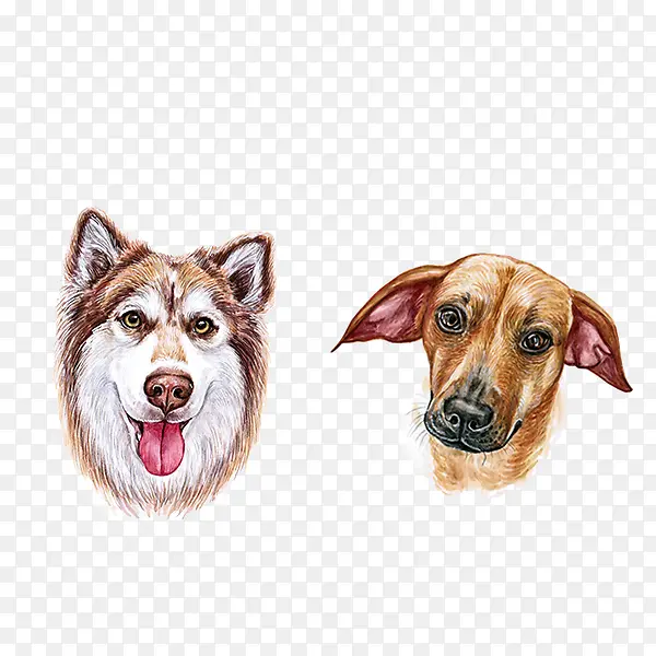 ˮ�ʹ�ͷ-������