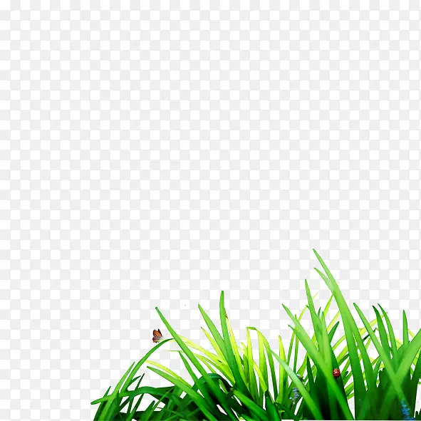 ��-������