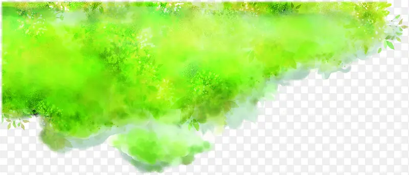 ˮ�ʲݵ���������-������