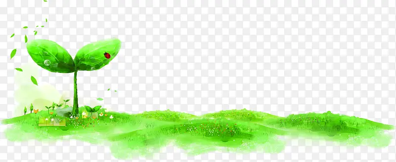 ������ɫˮīֲ��С������-������