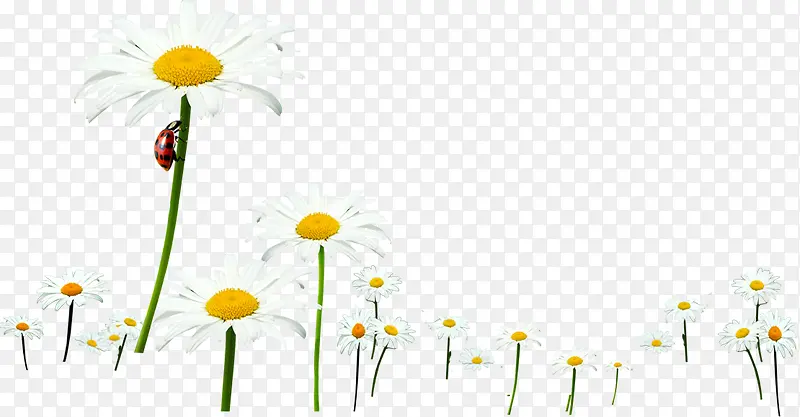 ���´�����������-������