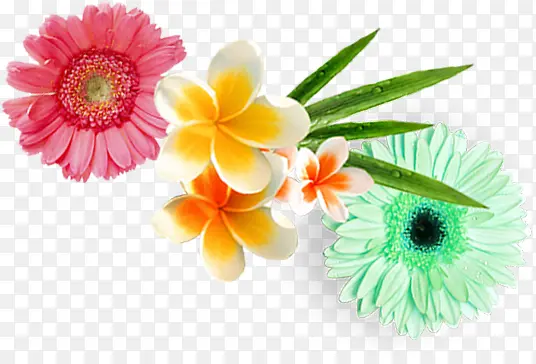 �ֻ��ɫ��������-������