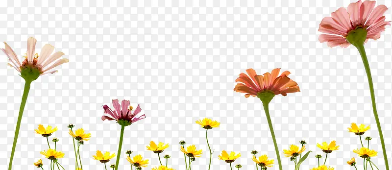 ������ɫ����С��-������