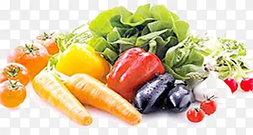 ������ɫ�����߲�-������