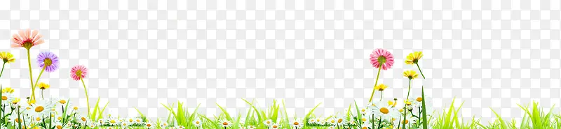 ��ɫ�����ݵ�С��-������