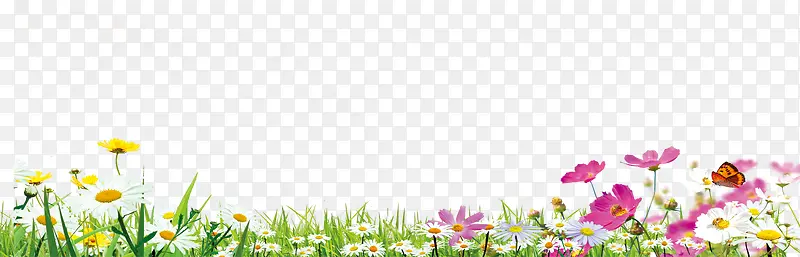 ��ɫ����ֲ��С��-������