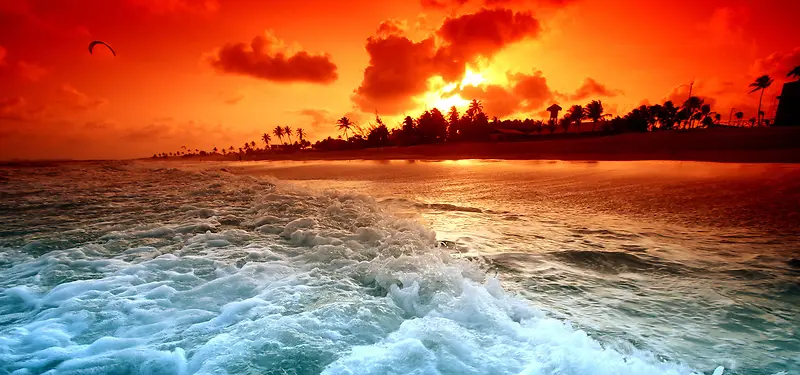 ��Ӱ����-������