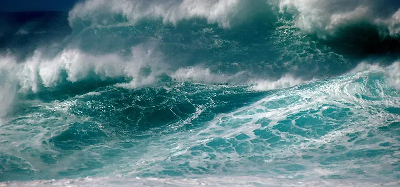 ��Ӱ����-������