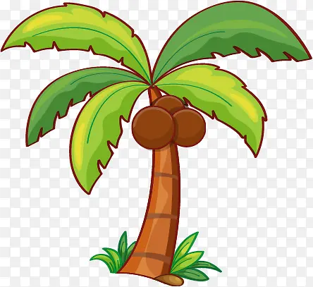 ��ͨҬ��-������