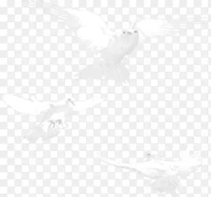 ��ɫ��ƽ��Ч��ͼ-������