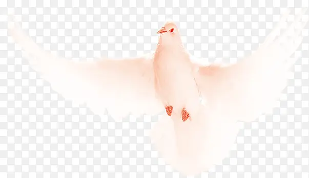 �����ɫ��ƽ��ͼ-������