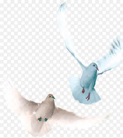 �����ɫ��ƽ��Ч��-������