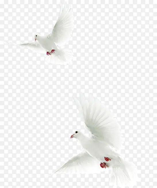 ������Ӱ�������ɫ��ƽ��-������