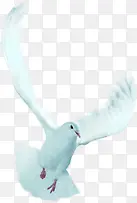 �����ɫ��Ӱ���ƽ��-������