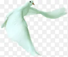 ������ɫ��ƽ��-������