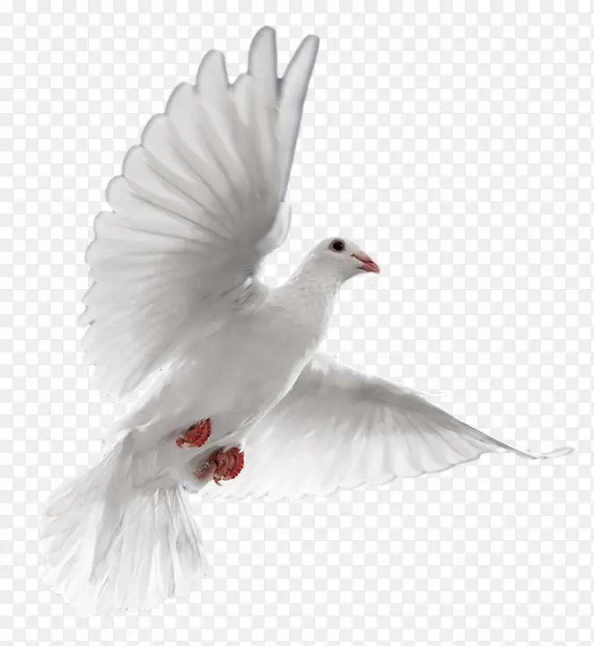 �����ɫ��ƽ�뺣��-������