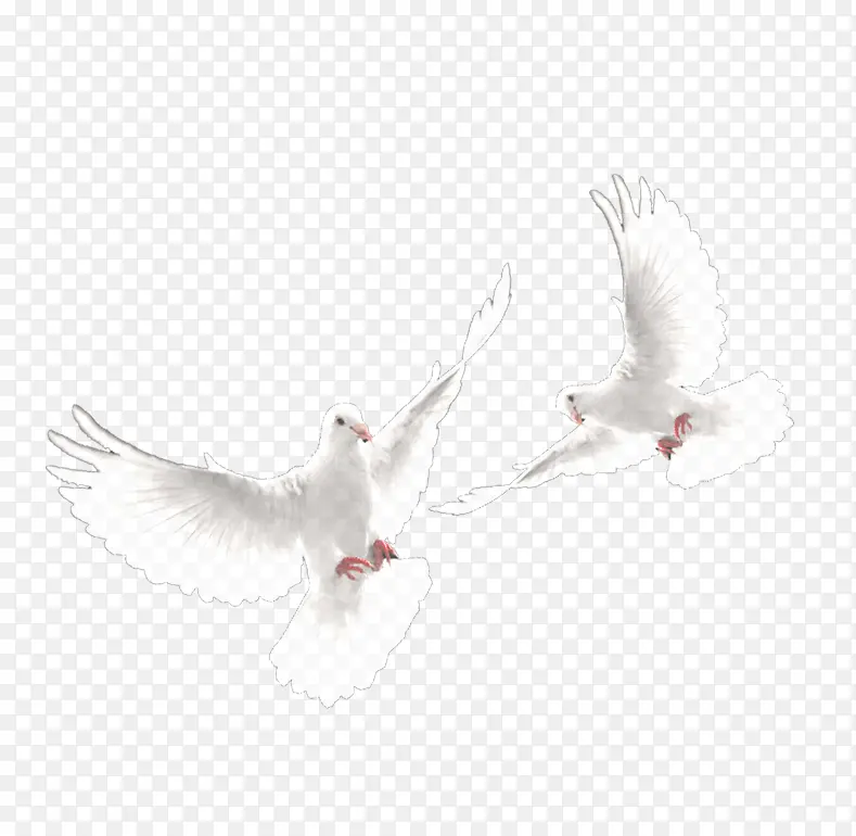 ��ɫ��ƽ���-������