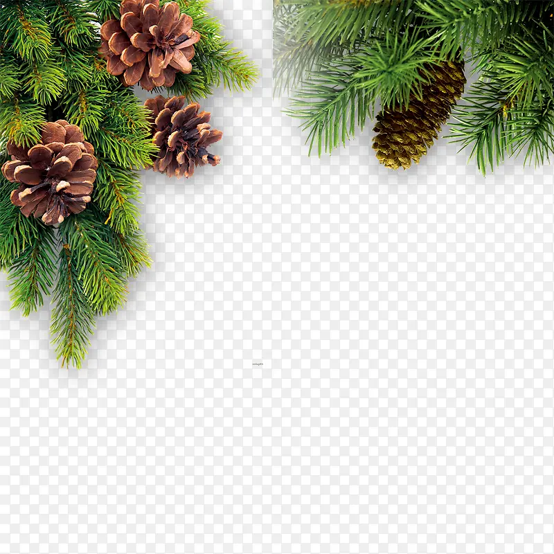 �ɹ�-������