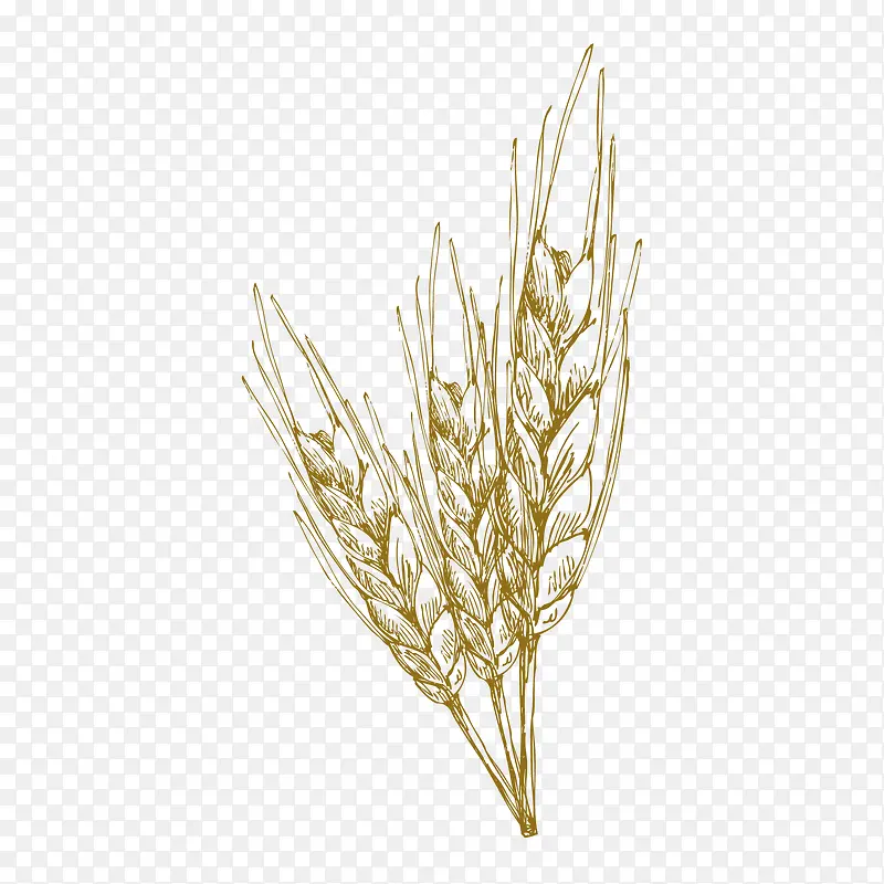 �ֻ�-������