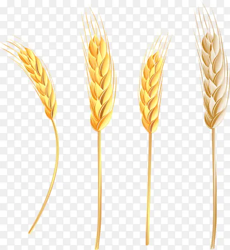 Ӫ����-������