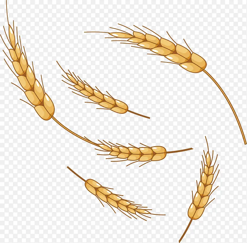 ����pngʸ���ز�-������