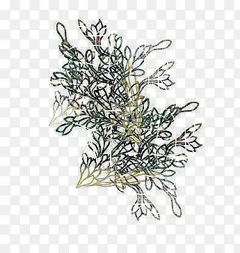 �ݻ�-������