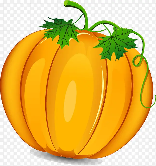 ��ͨ�ֻ澫���Ϲ�-������