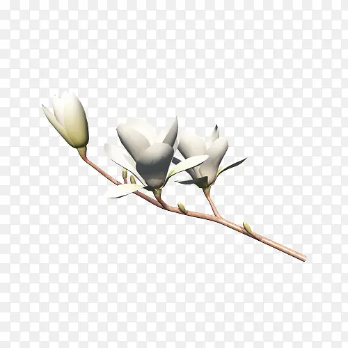 һ֦��-������