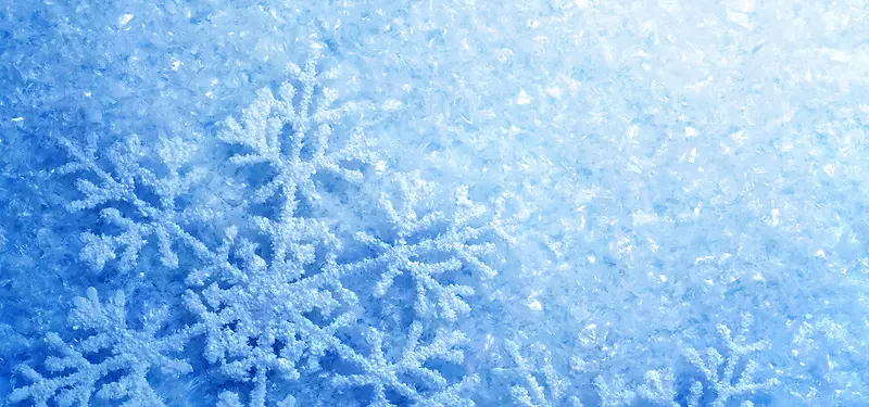 ��Ӱ����-������