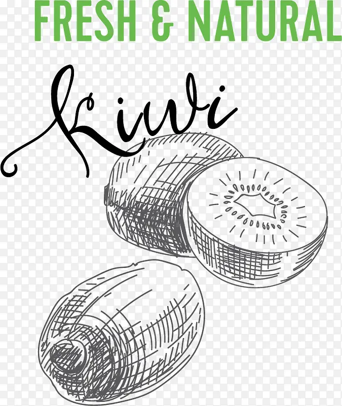 ⨺���ˮ��pngʸ���ز�-������