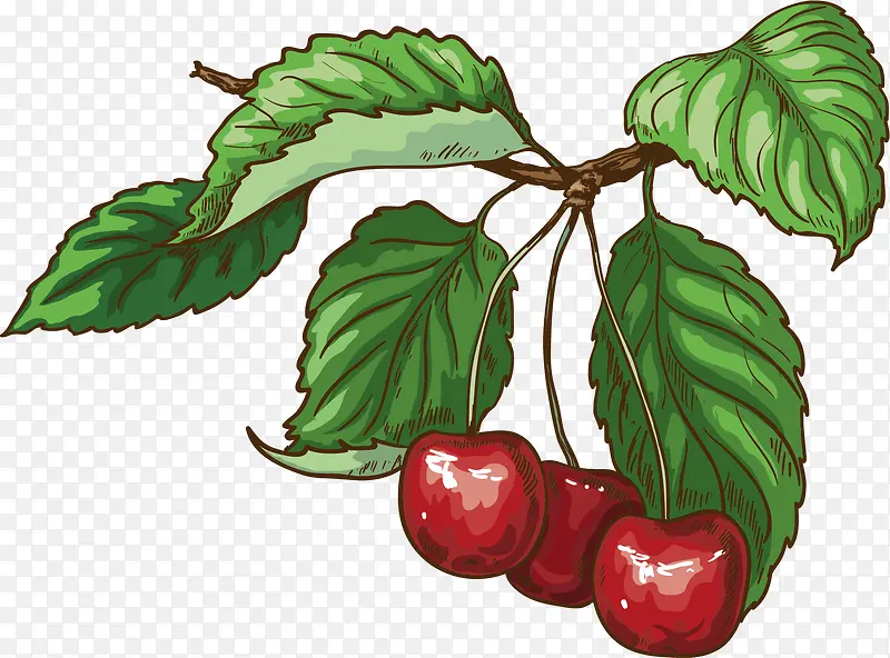 ˮ��ӣ���ز�-������