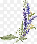 ޹�²�ˮ�ʻ��ز�-������