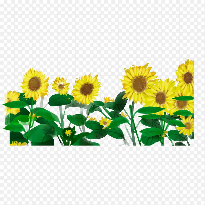 ˮ�����տ�����-������