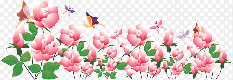 ���Ϲ�滨�����-������