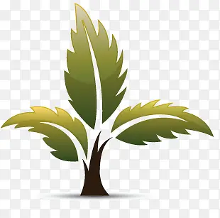 ��ͨҬ����-������