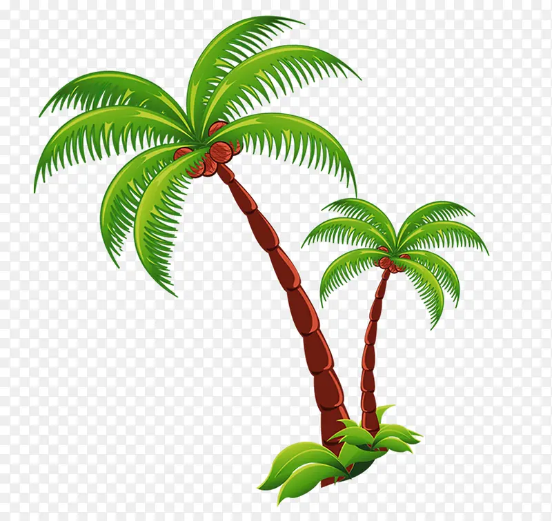 ��ͨҬ����-������