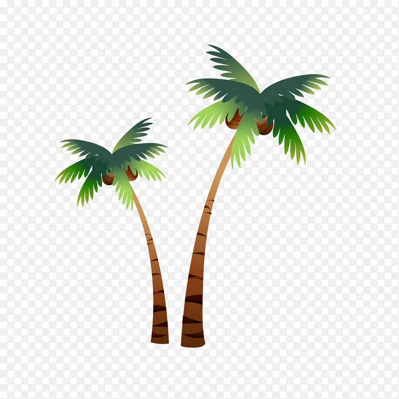 ��ͨҬ����-������