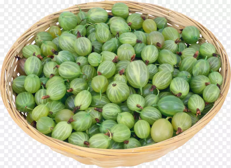 ⨺��ҹ�ʵ-��ʿ-������