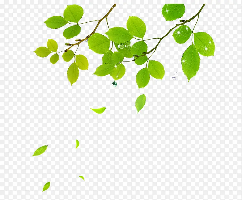 ����̤��ֲ����֦-������