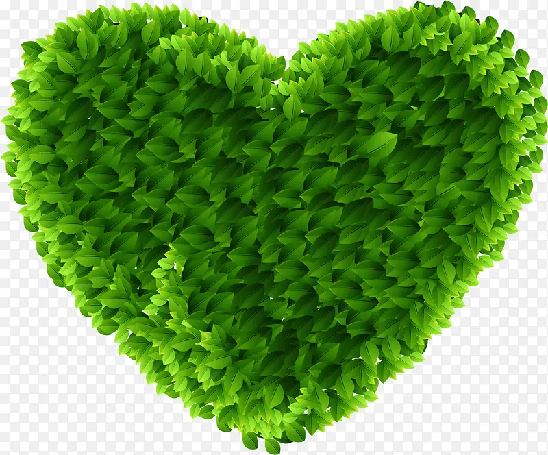 ������ɫ��Ҷ����װ��-������