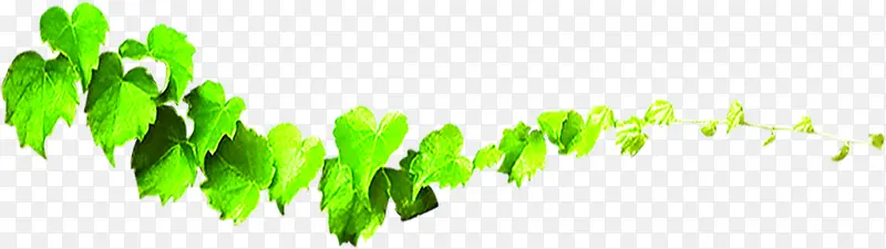 ��ɫ���尮����Ҷװ��-������