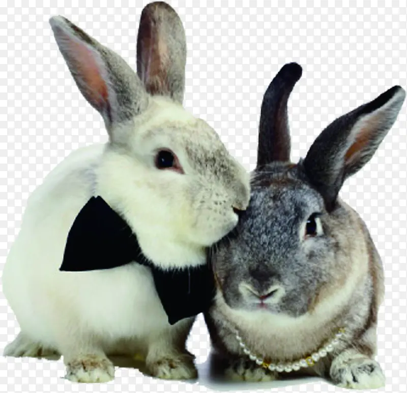 ʱ��˧��С�ó���-������