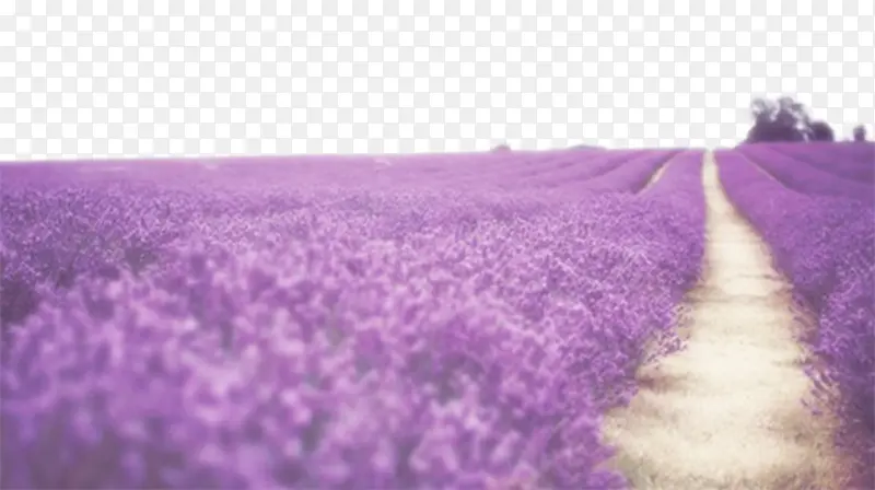 ��ɫ޹�²�����ز�.-������