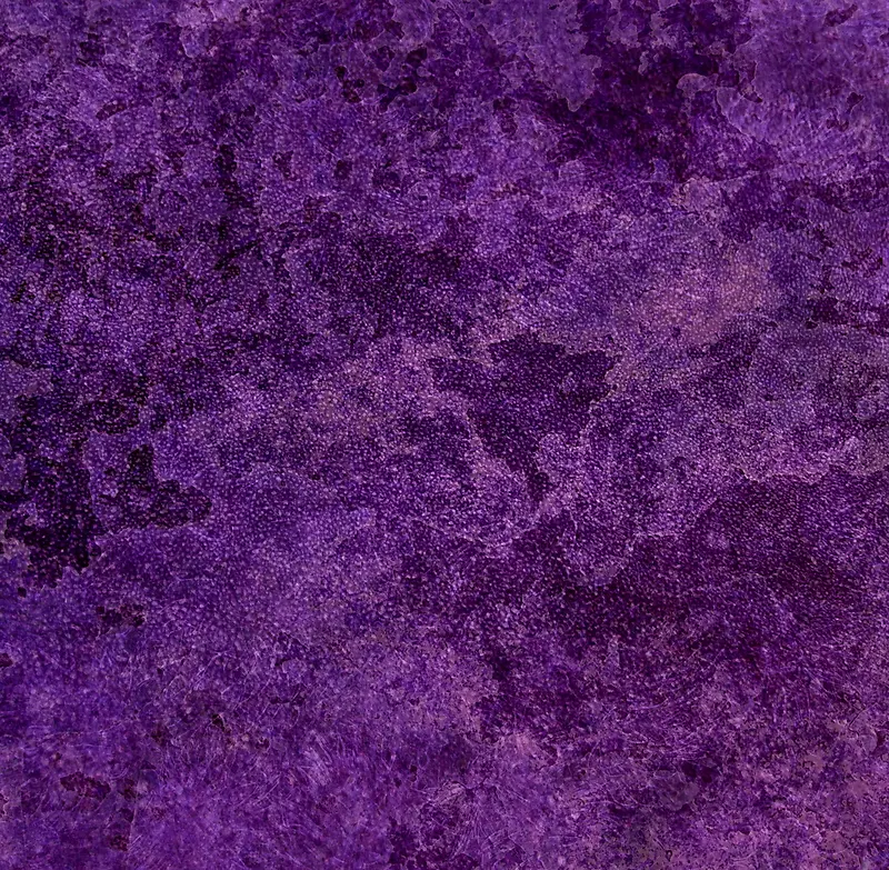 ��ɫ����-������