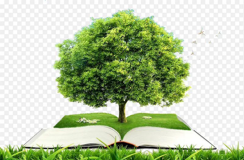 ��������-������