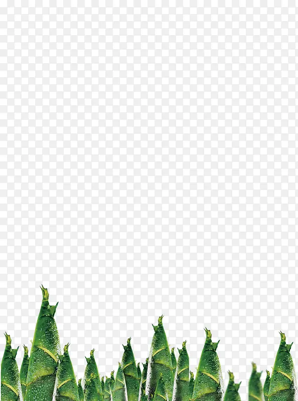 ��ɫ������ʳ��ʳ����ζ-������