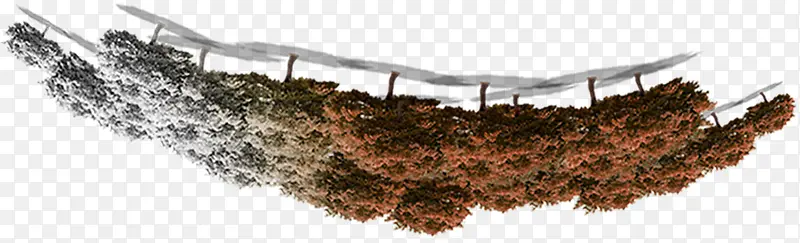 ������ɫ������-������